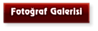Fotoğraf Galerisi