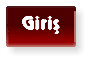 Giriş