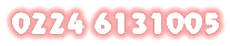 0224 6131005